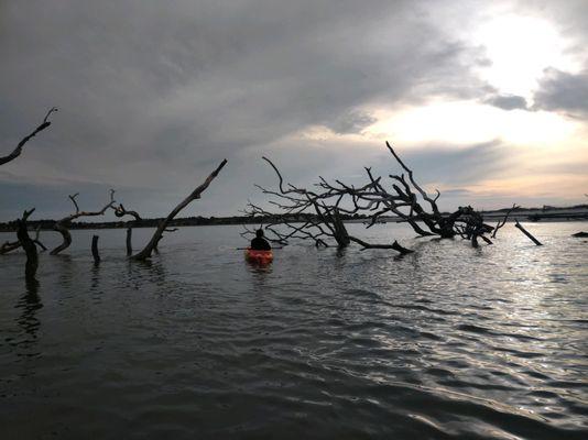 the Boneyard near Sunset.