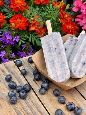 Coconut Chia Blueberry Paleta