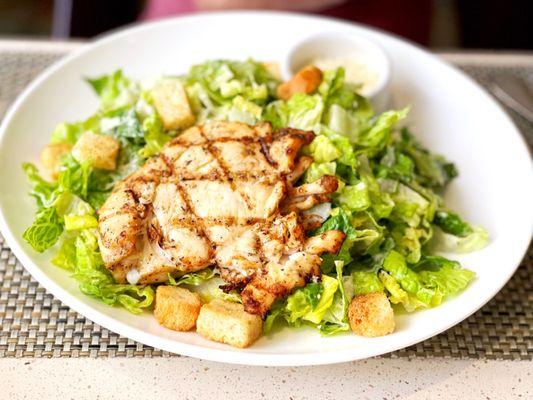 Romaine lettuce with grilled chicken