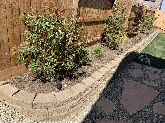 New shrubs put in and rounded our retaining wall!