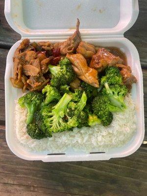 Lunch bento box