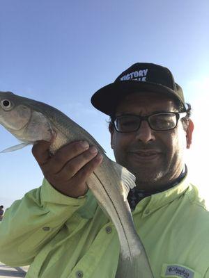 Juvenile snook, good fight. Catch and released. What a rush.