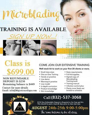 Microblading Class