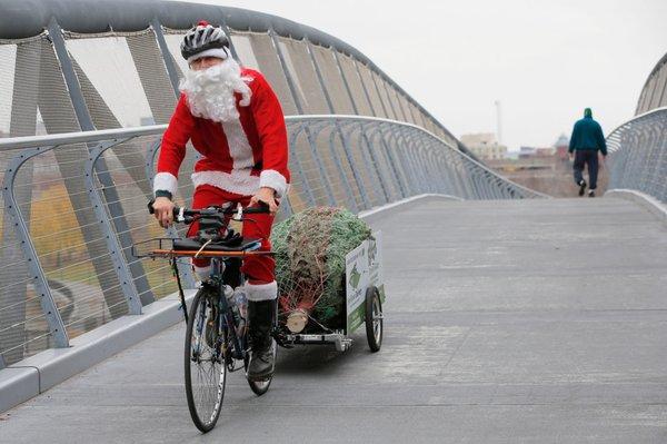 Head Elf Jimmy Rider delivering an 8 foot Christmas Tree over the North Bank Bridge in Boston