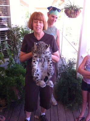 Snow leopard at Wildlife Rescue!