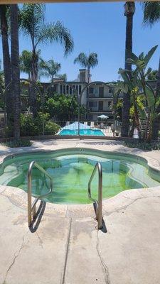 The sunlight and palm shade definitely brings out the green shade in the jacuzzi