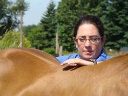 Integrative Medicine for horses, dogs, and cats