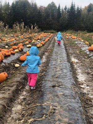 Hunter Farms nice a bit muddy but that was half of the fun