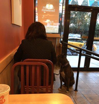 Don't bring your dog into a restaurant, fast or no.