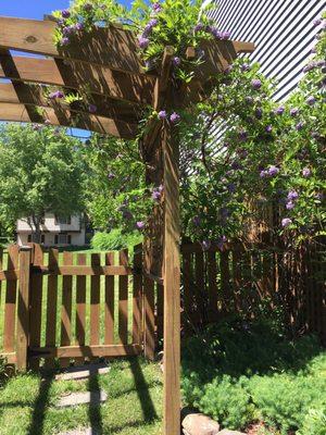 American Deck and Patio