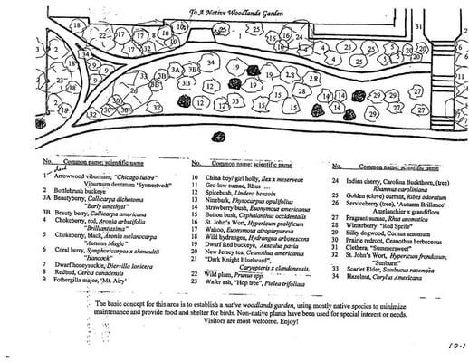 Landscape plans for garden--WYSIWYG.