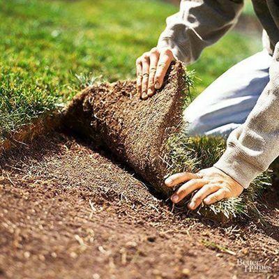 Laying sod is easier than you think.