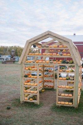 Cute pumpkin "barn" for pictures