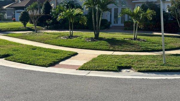 Cleanliness, Sharp & Beautiful Landscape