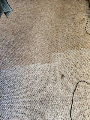 Forney's Carpet Cleaning