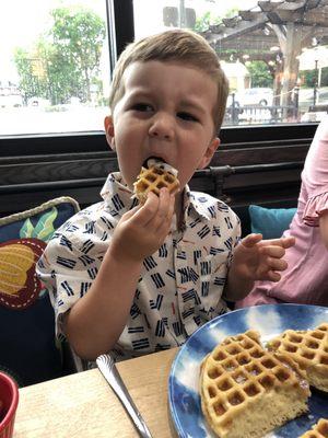 Great breakfast. Carter is a regular here. He loves waffles with "whipping cream"