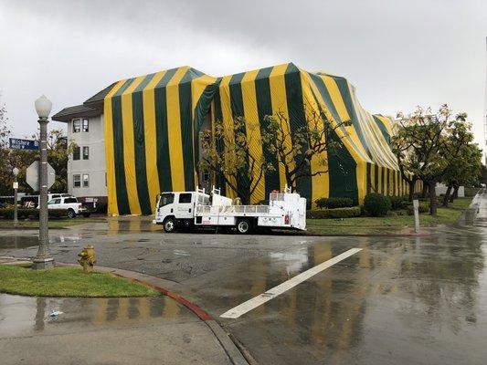 Apartment building on Wilsher being fumigated for termites