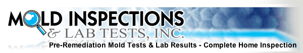 Mold Inspection & Lab Test