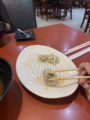 Beef and onion boiled dumplings