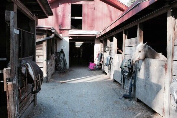 Rock Creek Park Horse Center