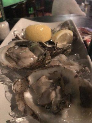 Wonderful raw oysters from Louisiana!