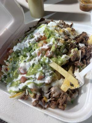 Carne Asada Fries