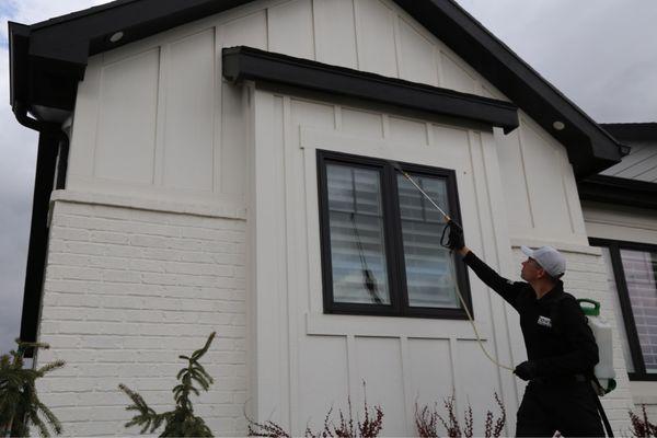 Sprayed my eaves for wasps!