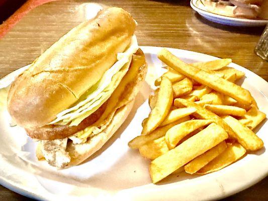 Chicken Breast Sandwich & steak fries