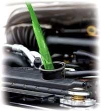 Antifreeze Flush Service Too!