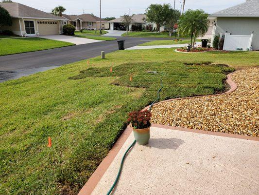 April 2020: Sod will be fully in tomorrow. Joey completed today's work alone