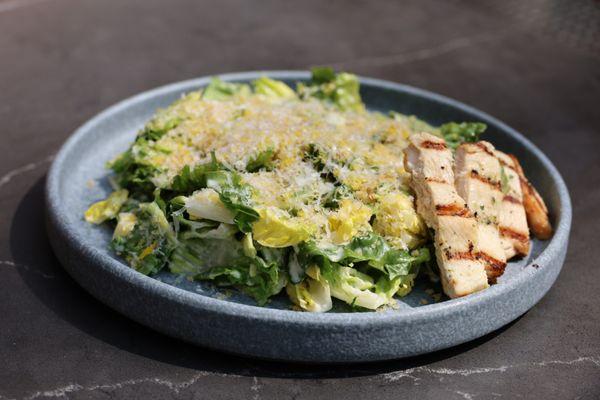 Chopped Romaine Salad with Chicken - Lancaster Farm Fresh Little Gem Lettuce, Shaved Cured Egg Yolk, Crispy Herb Panko and Pecorino Romano