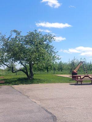 Orchard and play ground