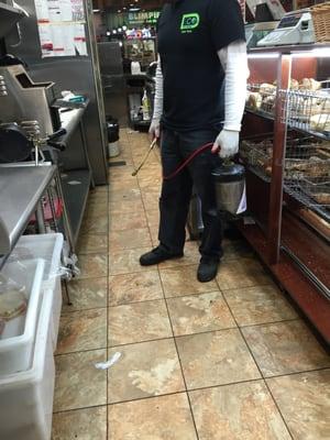 * DECO PEST CONTROL SERVICING ALL BAKERIES, BAGEL SHOPS
 AND GROCERY STORES IN BROOKLYN AND MANHATTAN...