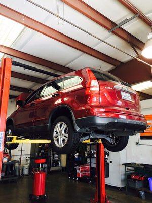 Servicing the transmission on this 2011 Honda CR-V