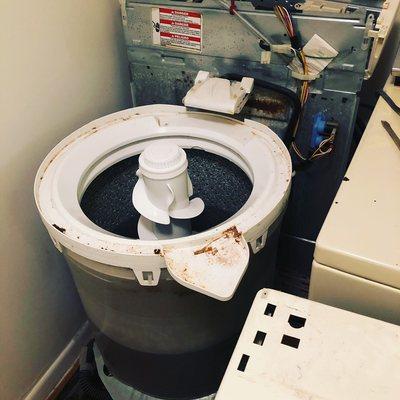 Washer machine repair