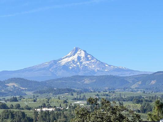 Her majesty, from Panorama Point :)