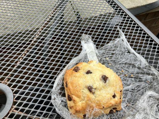 Chocolate chip scone