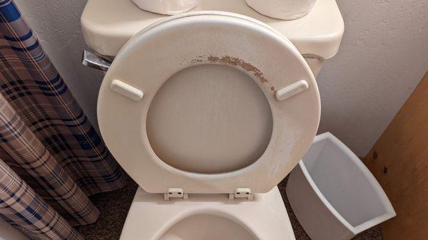 Disgusting toilet with stains