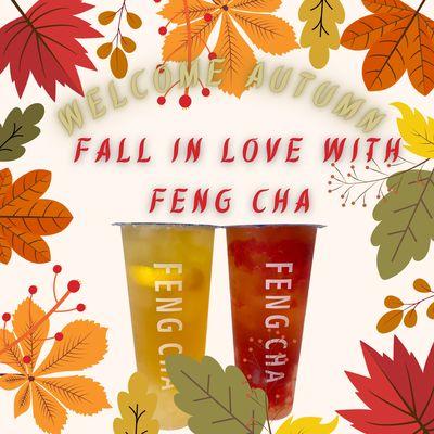 It is the Season to FALL in love with Feng Cha.  Come and try all our favorites