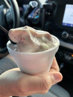 Vanilla custard w/ strawberries