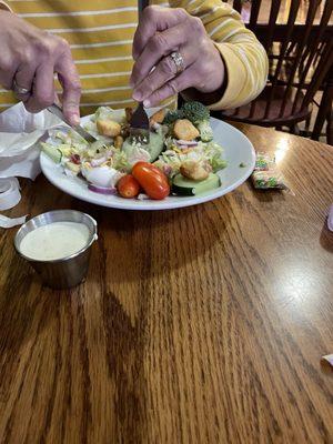 House salad with cheese, cucumber, tomatoes, egg, onions and bacon bits.