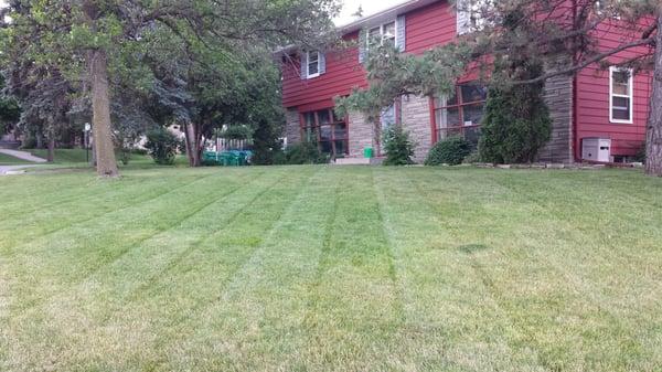 Wonderful day mowing lawns!