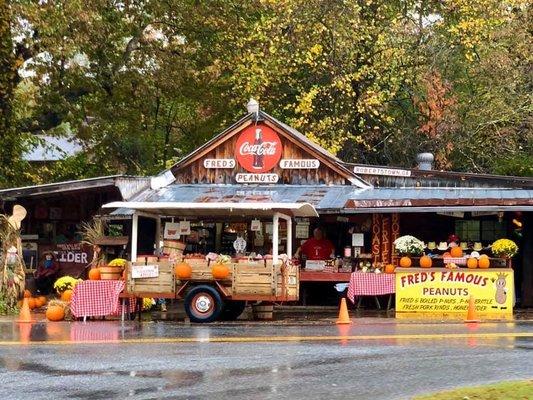 Fred's Famous Peanuts