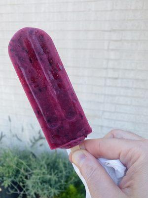 Blueberry lemon popsicle.