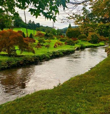 Very green after the torrential rain  - 9/30/2023