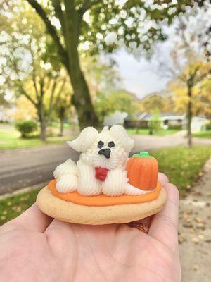 The cutest Halloween cookie I've ever seen!