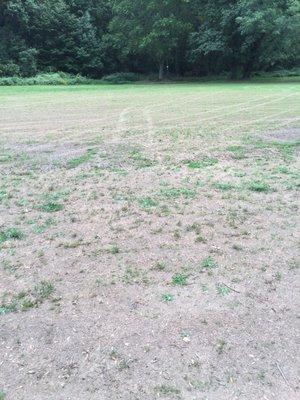 Pristine Fairways