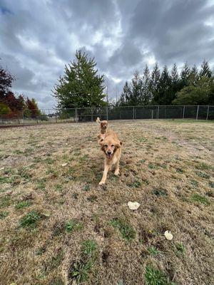 Buffy leading the race with Willow coming in behind!!