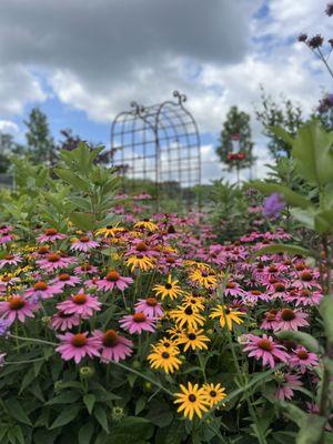 Flower garden area