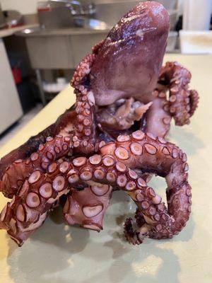 boiled octopus for TAKO sushi